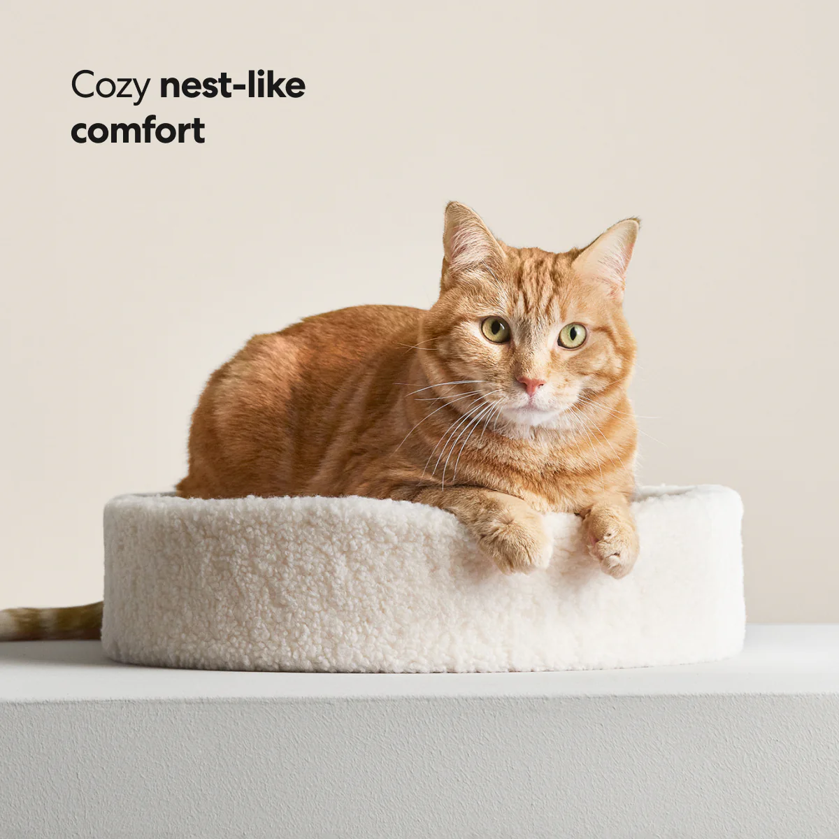 Kip Cat Bed - Image 5