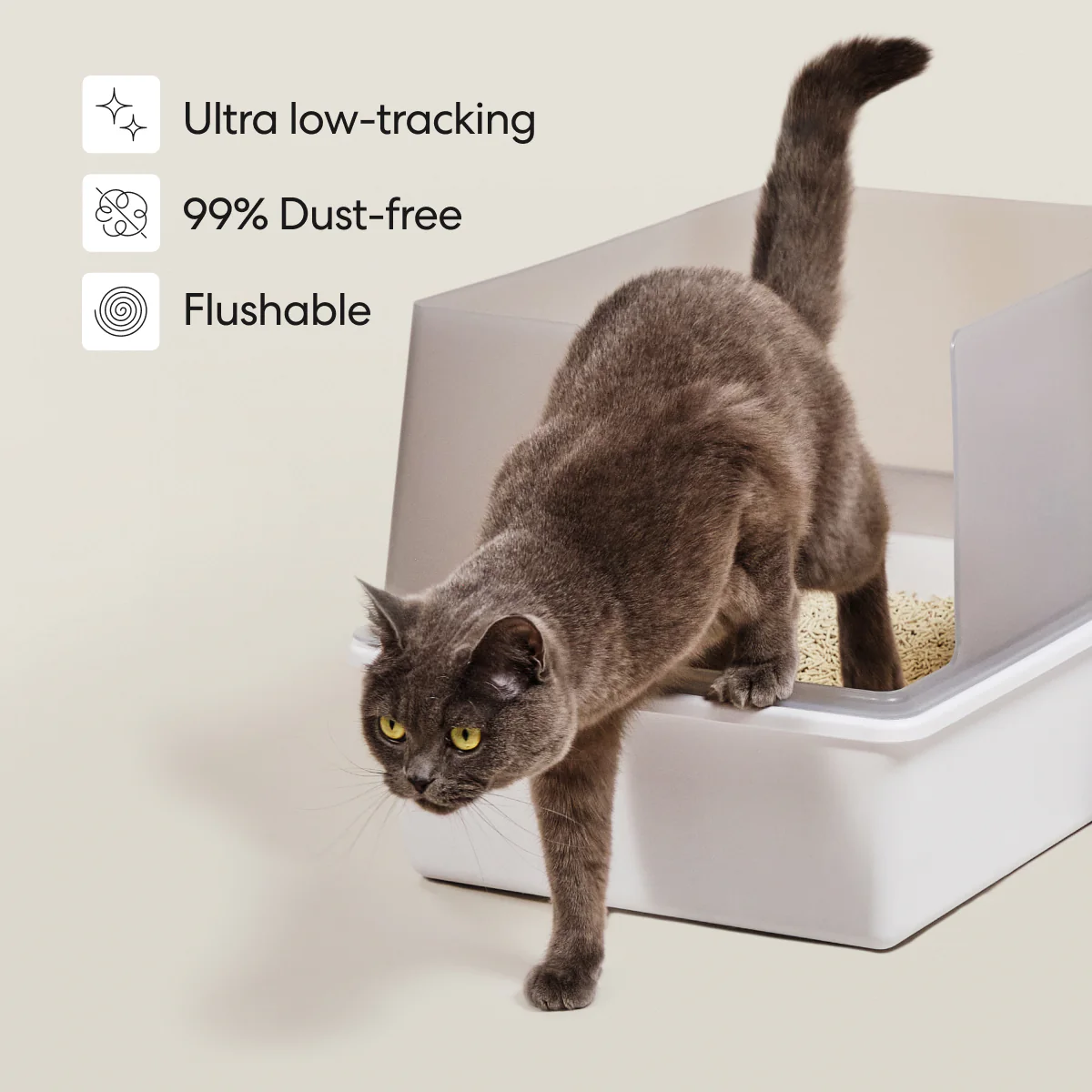 Really Great Cat Litter - Image 13