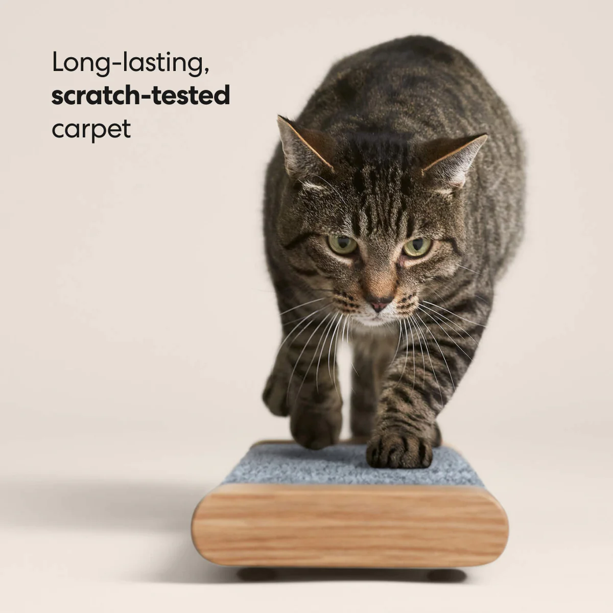 Tab Scratching Board - Image 4